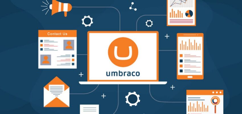 umbraco agency